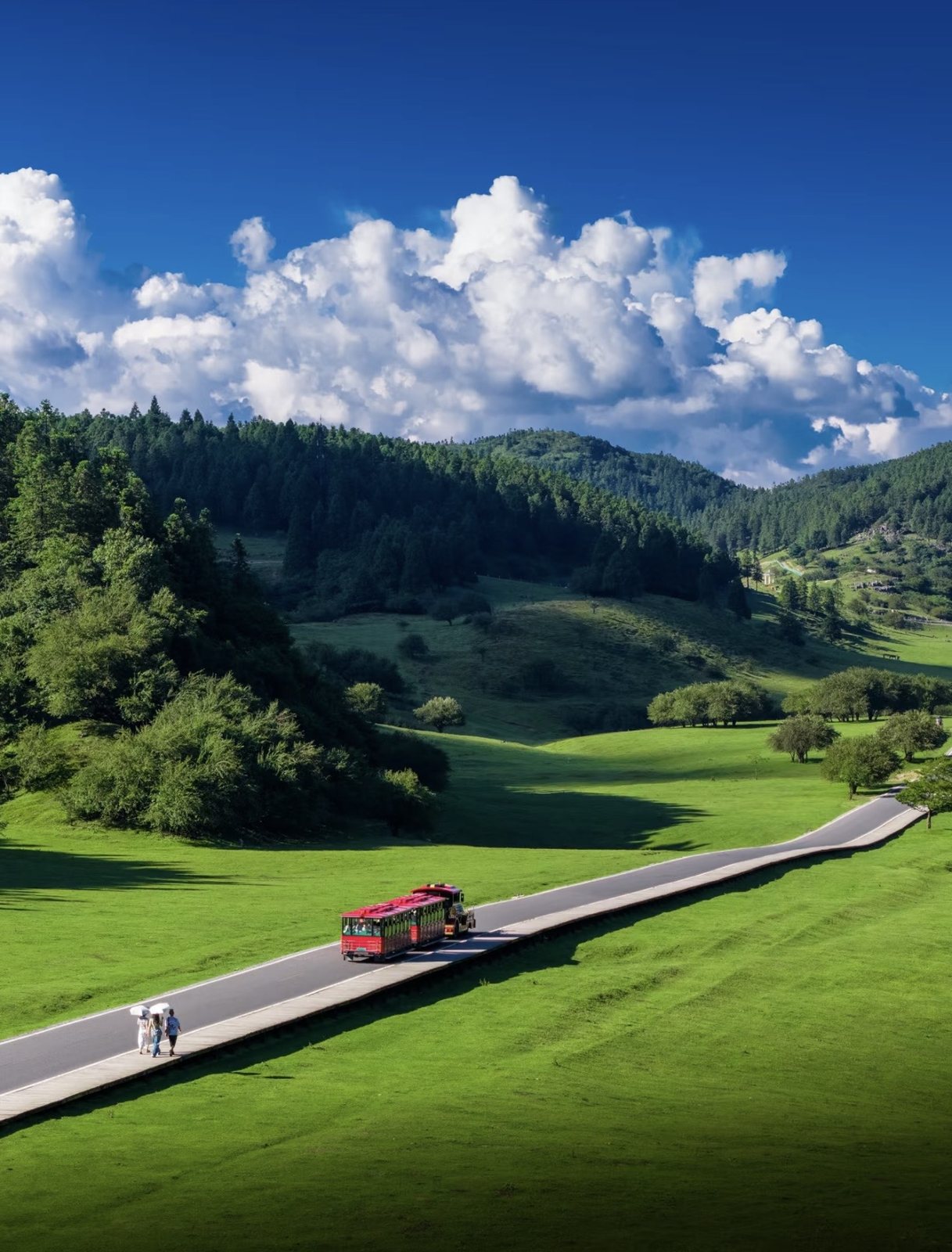 Open meadows and the sightseeing train at Fairy Mountain